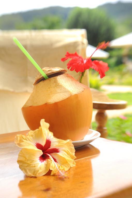 Etoile Labrine Guest House لا ديج الغرفة الصورة